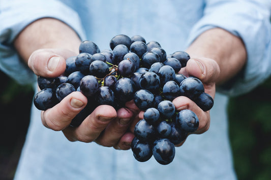 Health Benefits of Wine